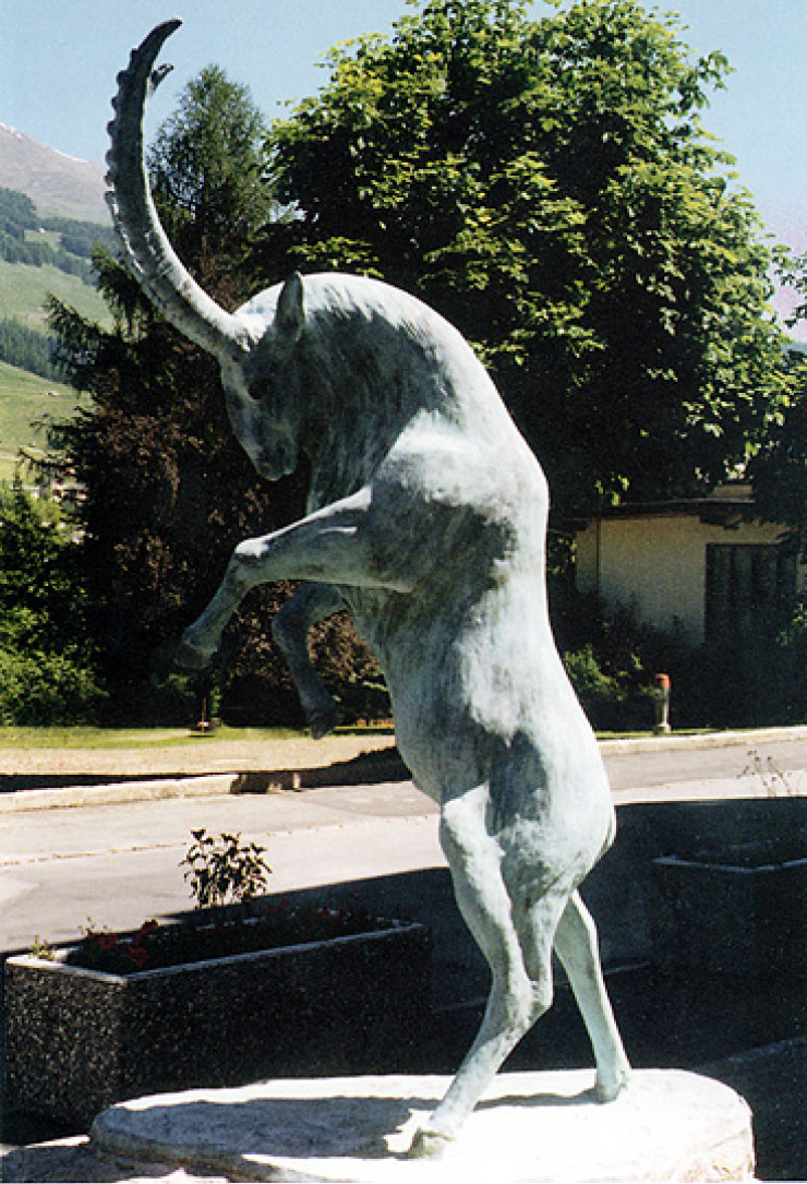 Steinbock | Vulpera Schweiz